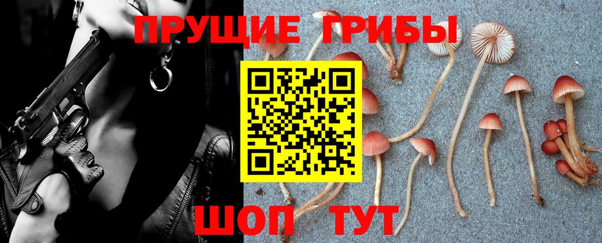 Псилоцибиновые грибы MAGIC MUSHROOMS Арсеньев