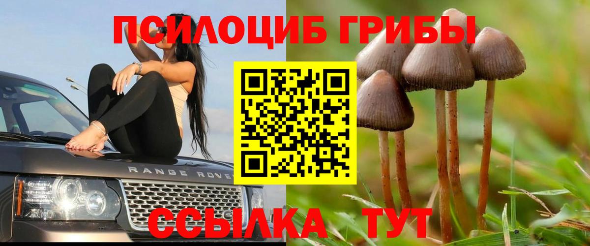 наркотики  Псилоцибиновые грибы прущие грибы  Арсеньев  Вход с VPN  Псилоцибиновые грибы мухоморы 