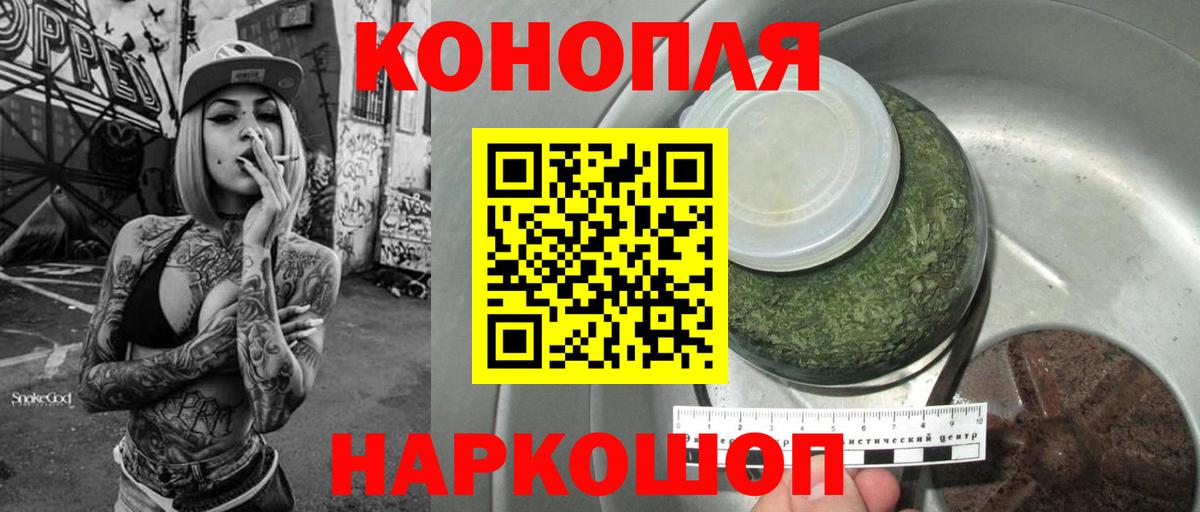 Бошки Шишки план Арсеньев